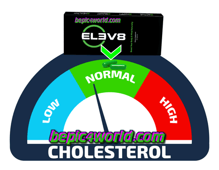 Elev8 normalizes cholesterol