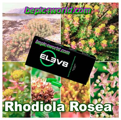 Radiola rosea Extract in the composition of Elev8