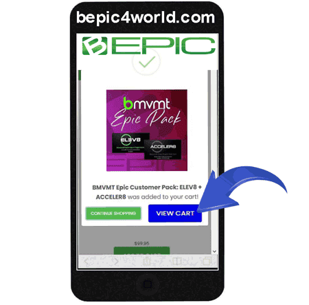Instruction (scheme) 5 of placing order and buying BEpic supplements